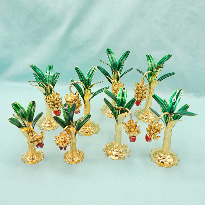 Pure Silver banana plants