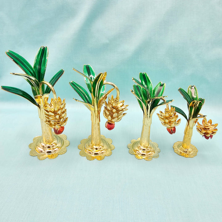 Pure Silver banana plants