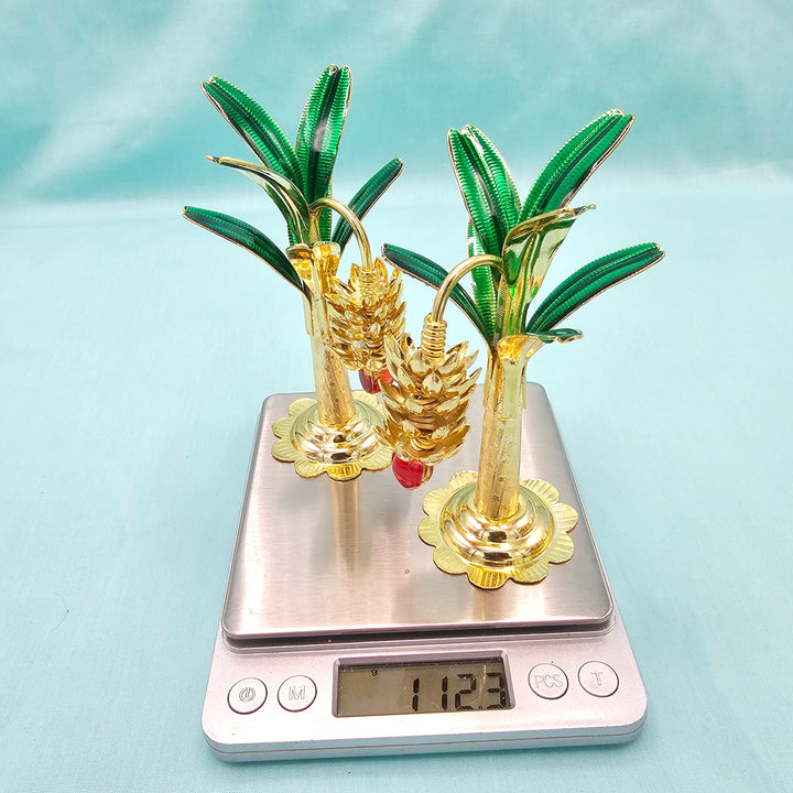 Pure Silver banana plants