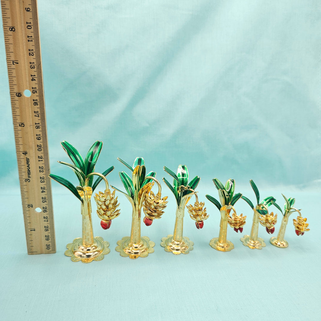 Pure Silver banana plants