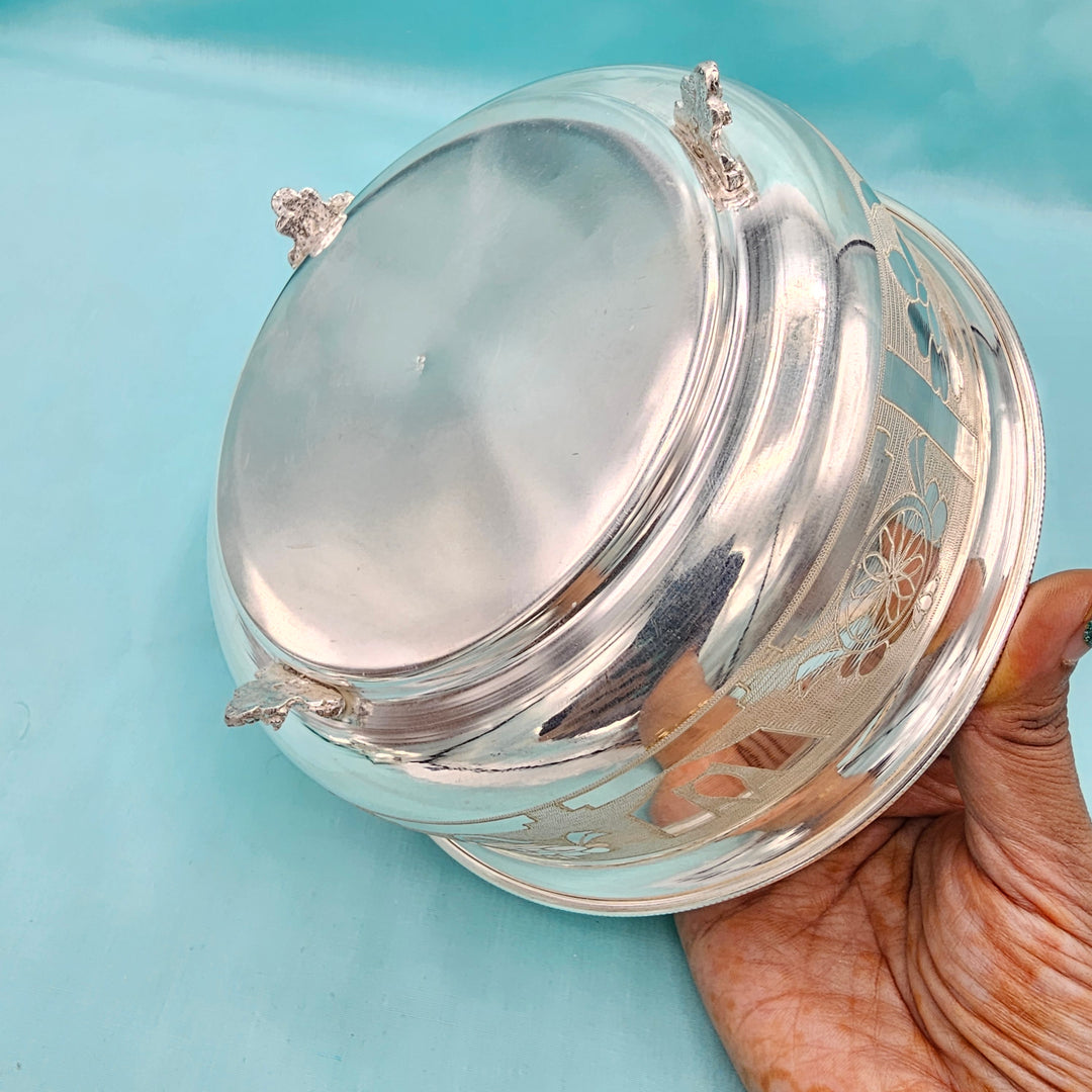 Silver Big Bowl