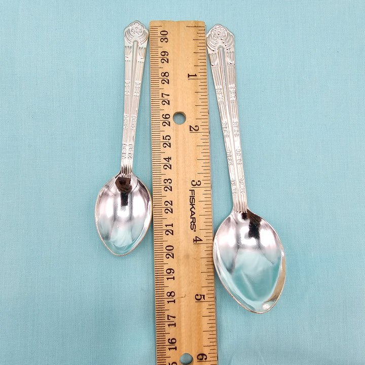 Silver Spoon