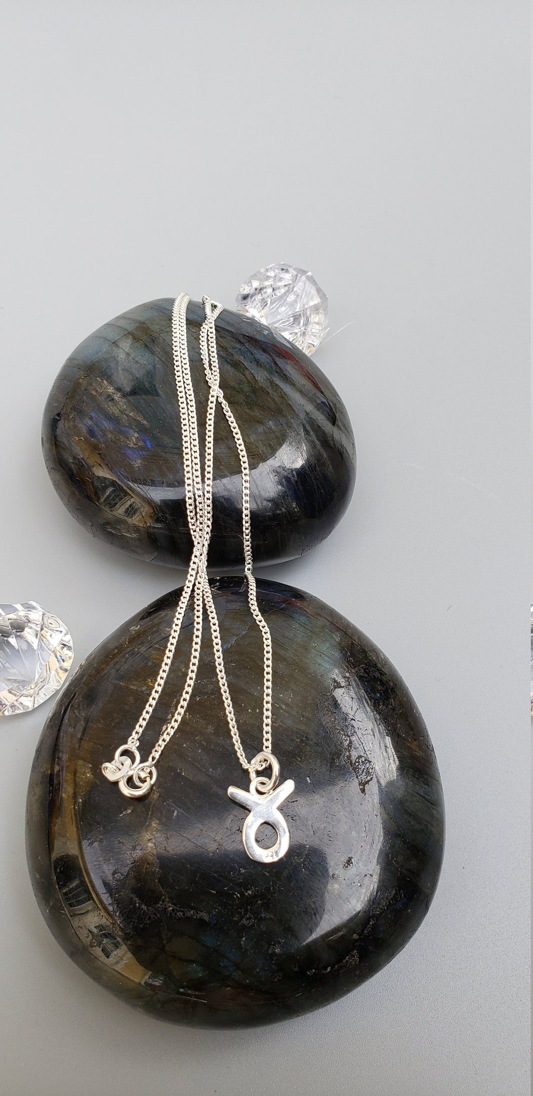 12 Zodiac signs pendents
