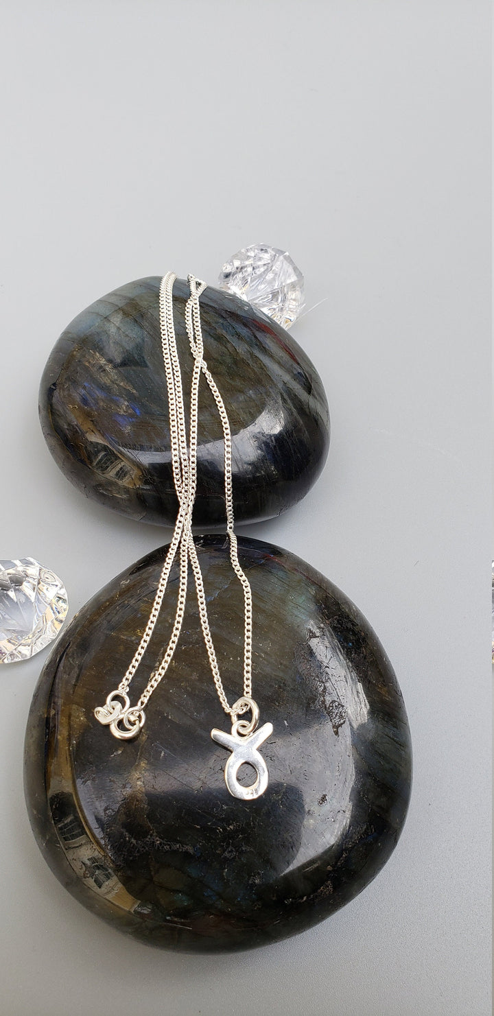 12 Zodiac signs pendents