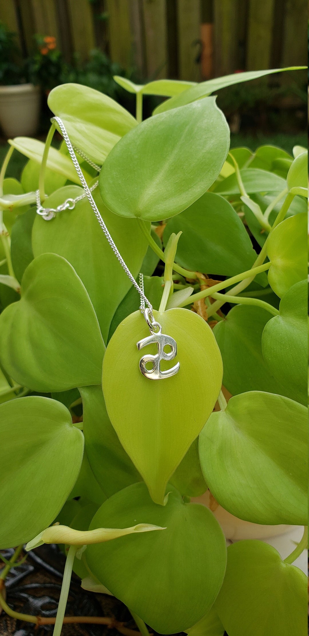 12 Zodiac signs pendents