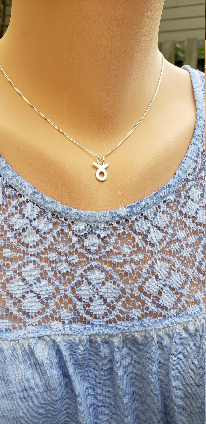 Zodiac Pendent