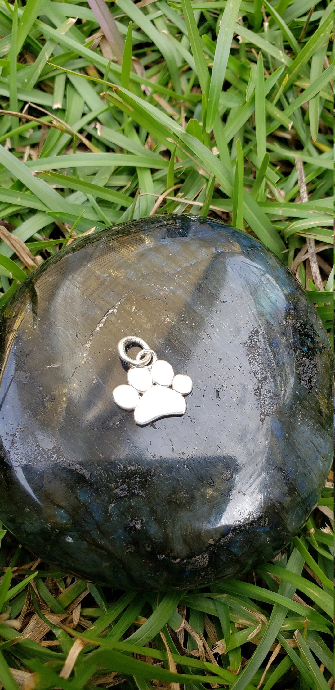 Silver Dog Paw necklace