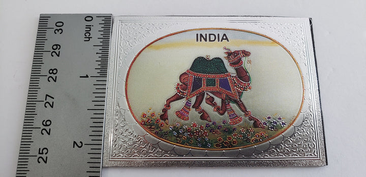 Indian Fridge magnets