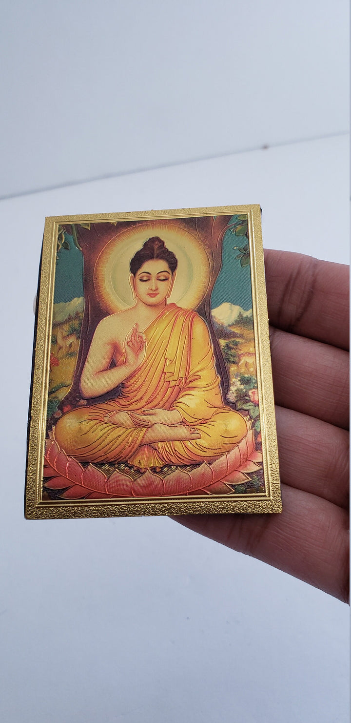 Indian Fridge Magnets