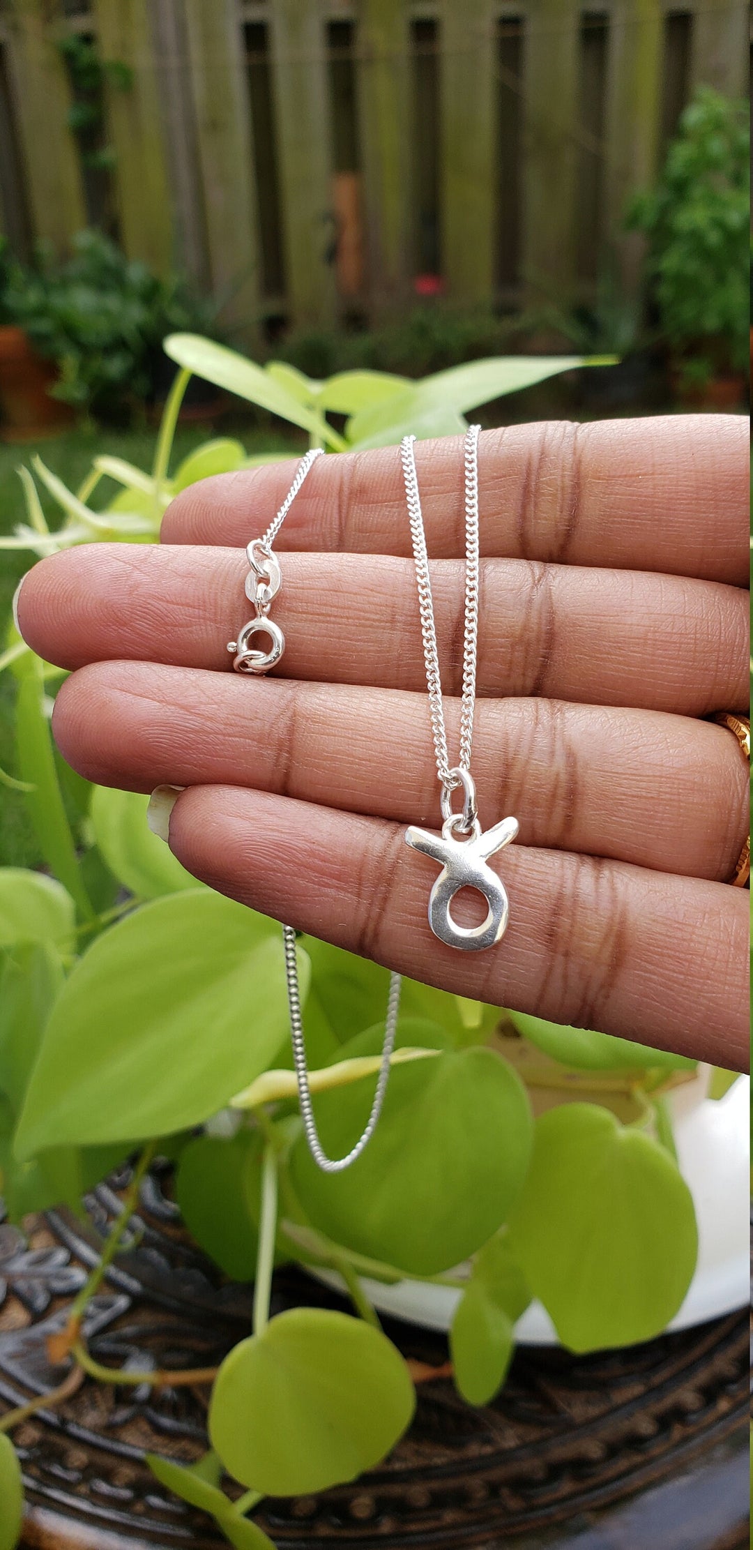 12 Zodiac signs pendents