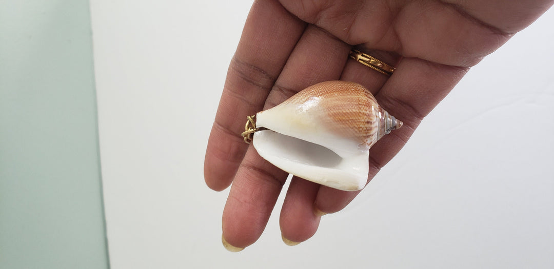 Shell Key chains