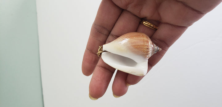Shell Key chains
