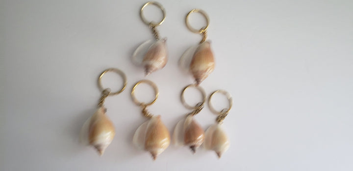 Shell Key chains