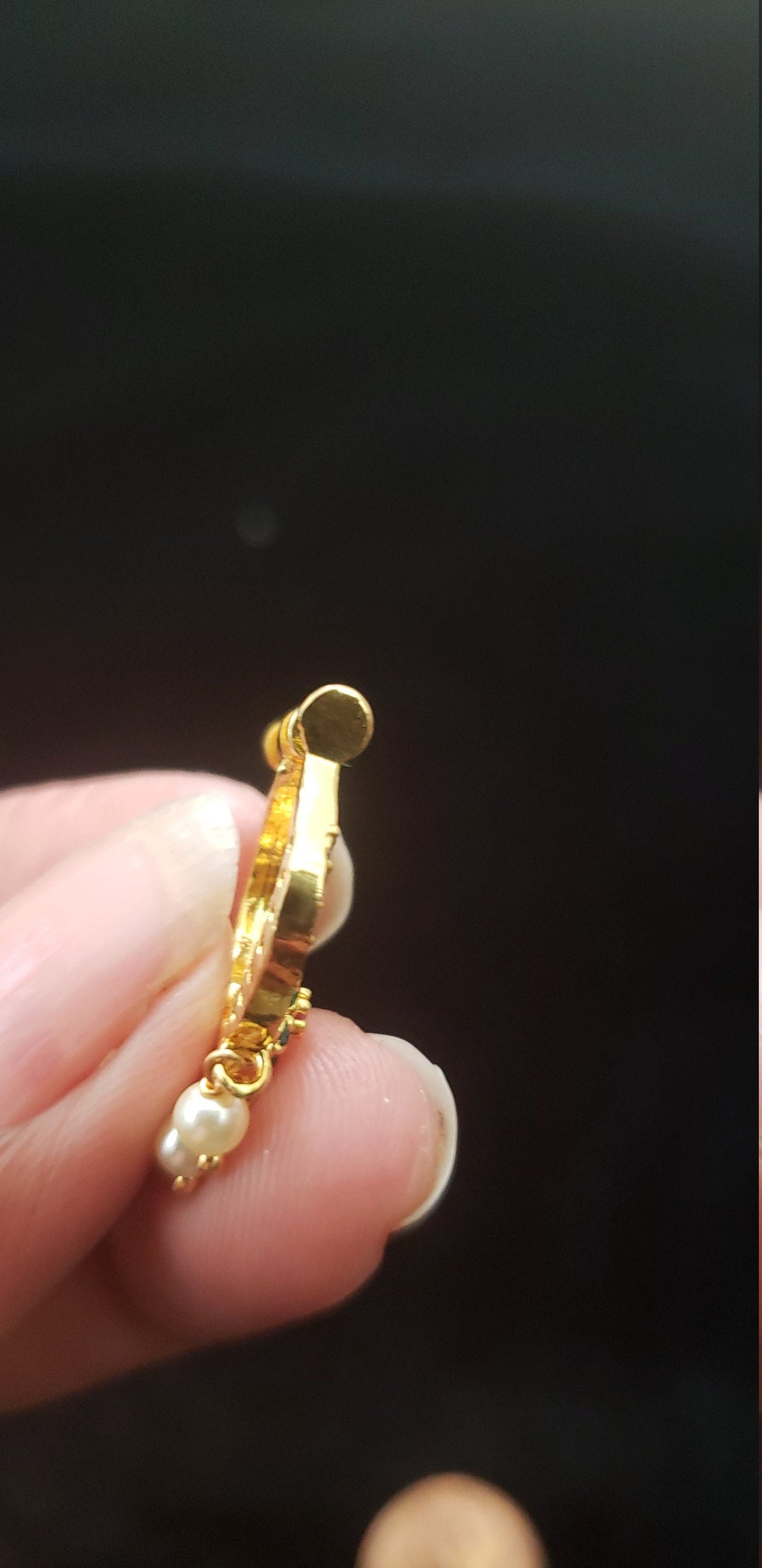 Left Nose Ring