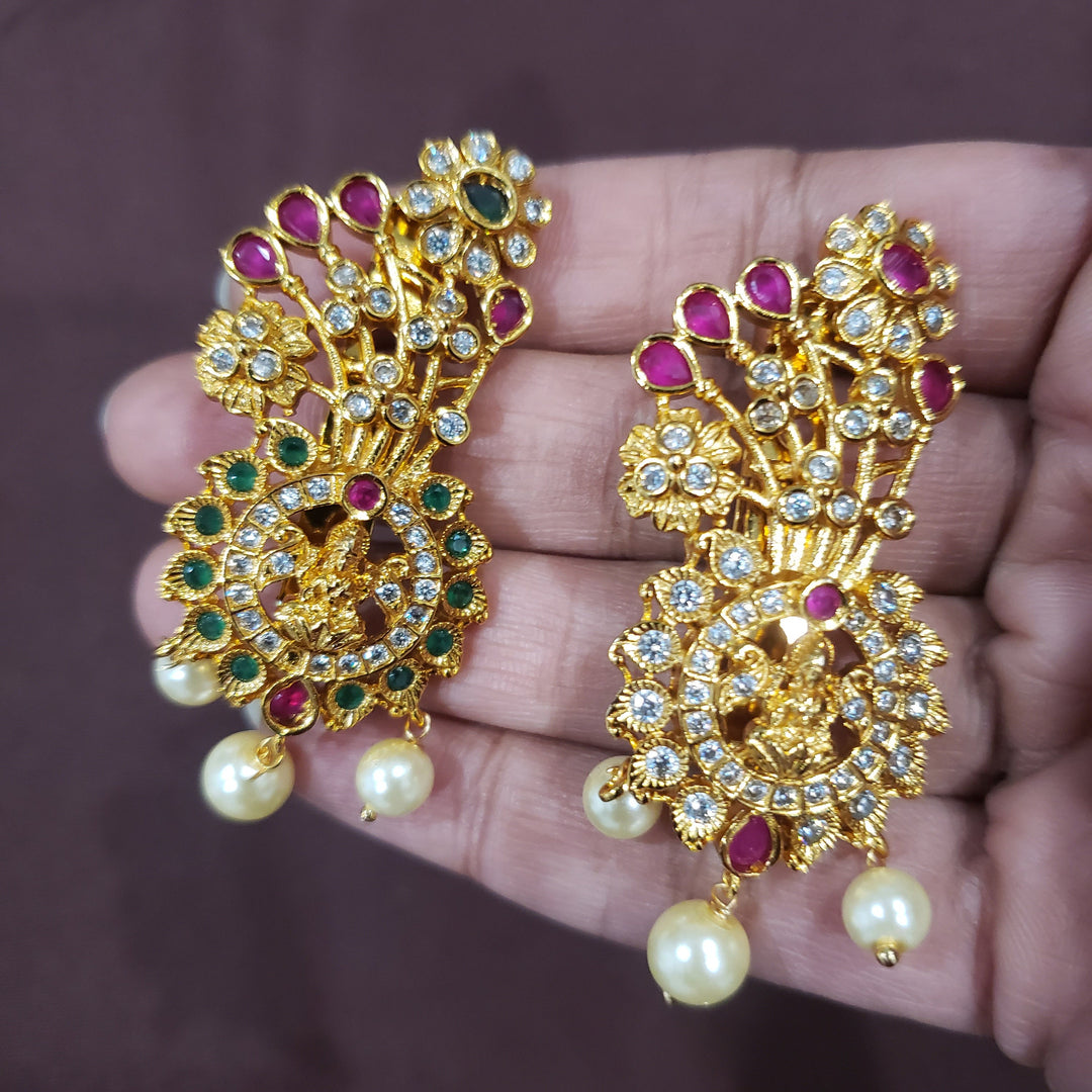 Saree Pins/ Peacock brooch
