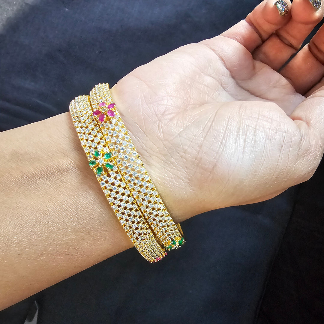 2.10 size Indian Bangles Set