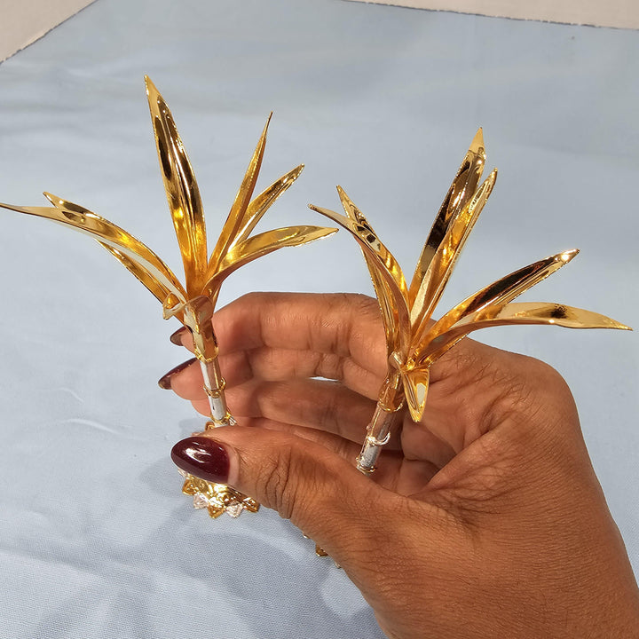 Silver Sugarcane plants