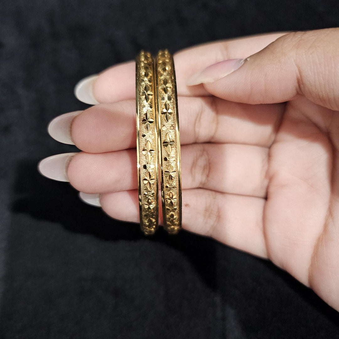 2 Bangles set-6101
