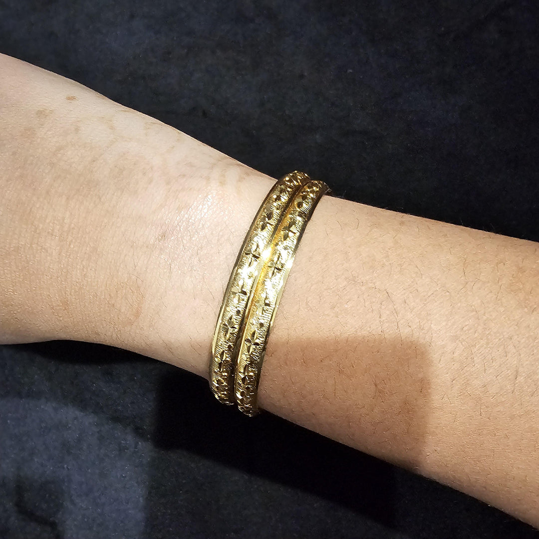 2 Bangles set-6101