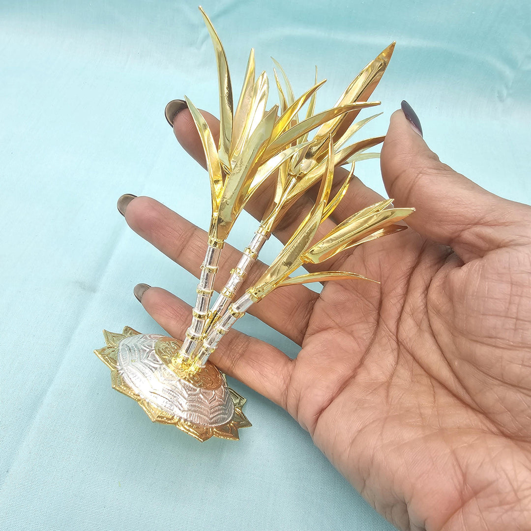 silver Sugarcane plants