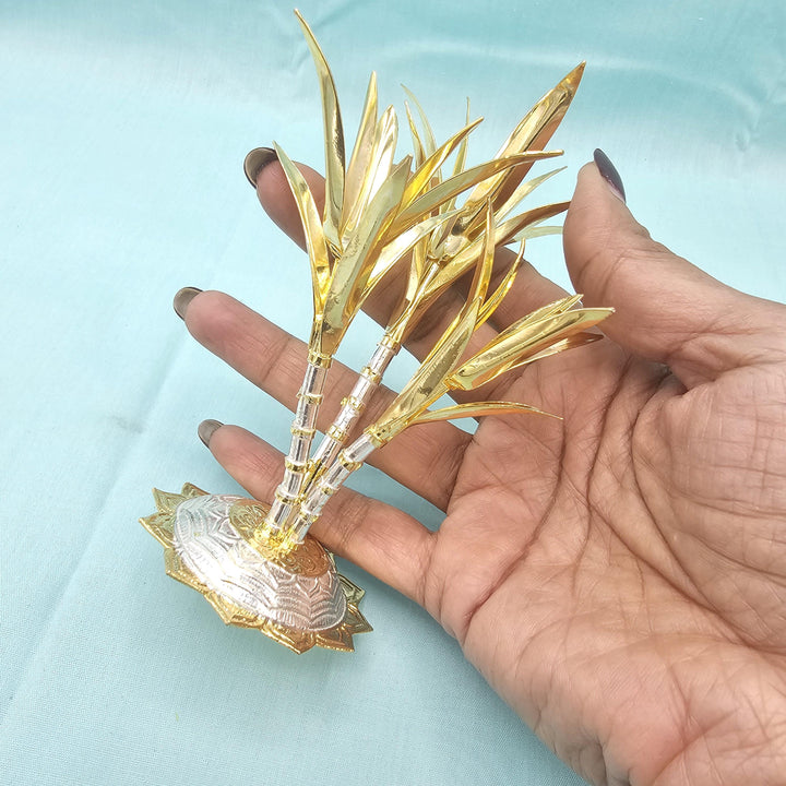 silver Sugarcane plants