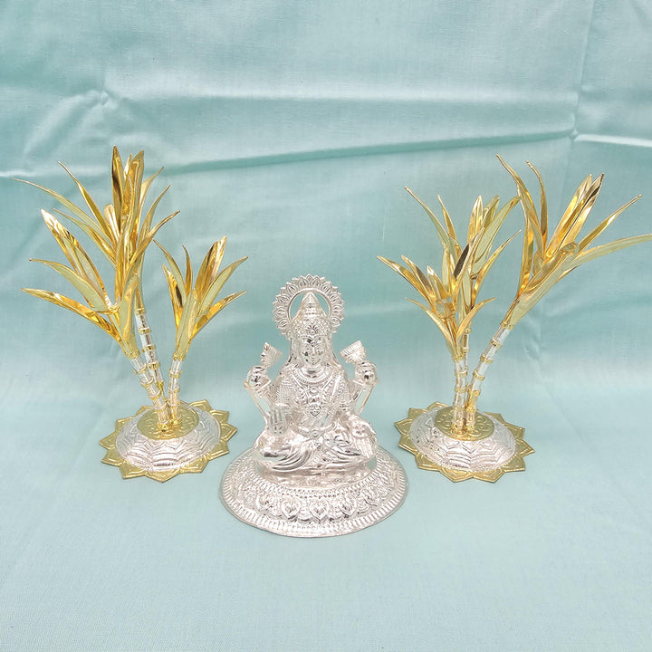 silver Sugarcane plants